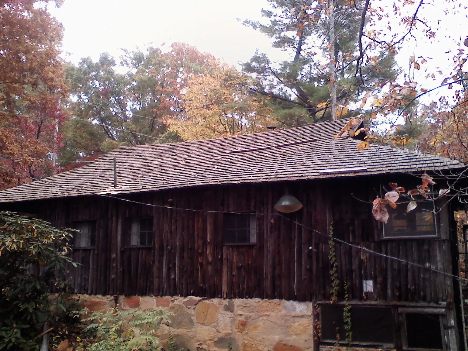 Weathered wood shake roof on a rustic board sided cabin in Byram
